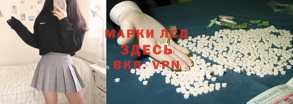 индика Осташков