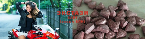 индика Осташков