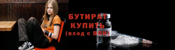 индика Осташков
