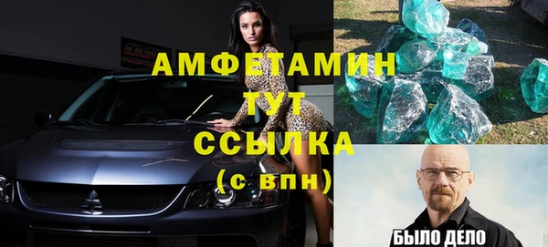 индика Осташков