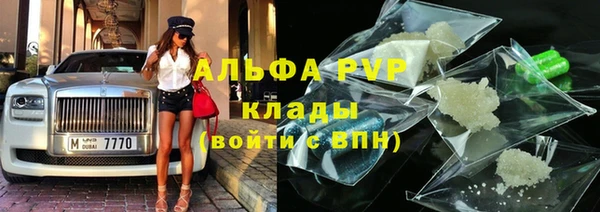индика Осташков