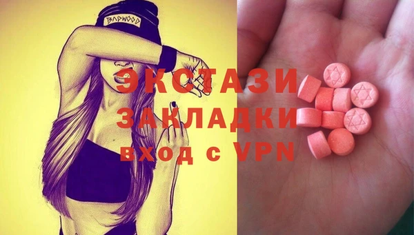 индика Осташков