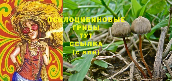 круглые Осинники